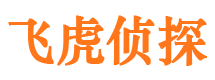 登封外遇出轨调查取证